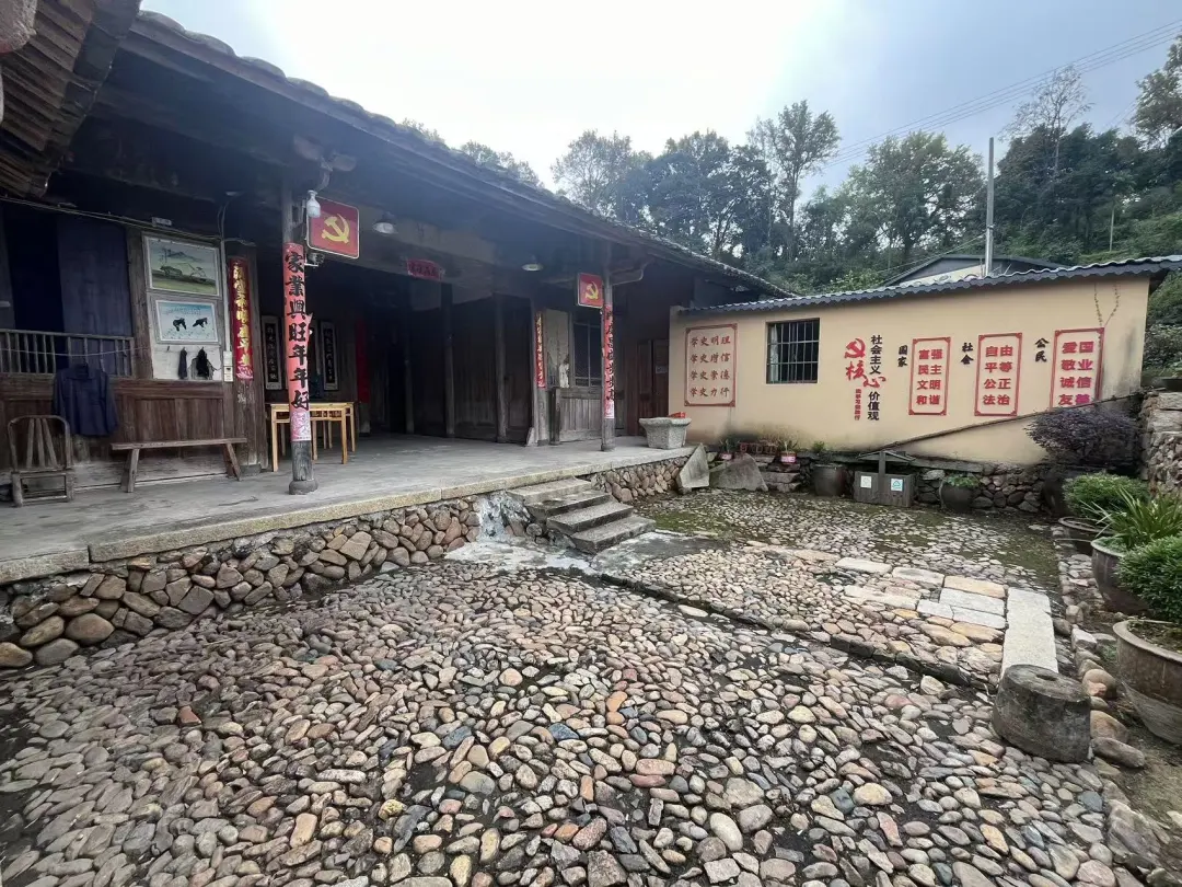 3ce9af58046624531e57ddb6ec2cd702-sz_528466