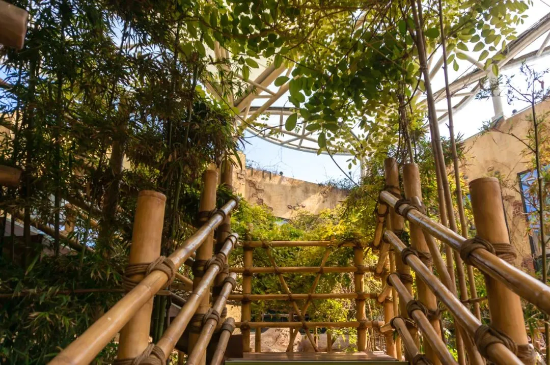 3d152d39e96f17479b7ad72788705b90-sz_206945