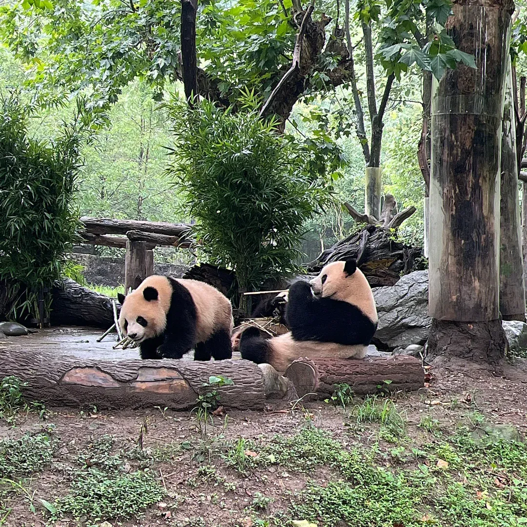 3d1a13a5481292980610cb76e0e60f46-sz_3342711 3d1a13a5481292980610cb76e0e60f46-sz_3342711