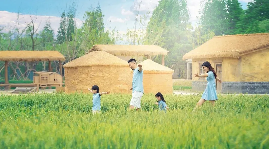 3d287bf4b2a28b5557f525fe3ac1d411-sz_119448 3d287bf4b2a28b5557f525fe3ac1d411-sz_119448