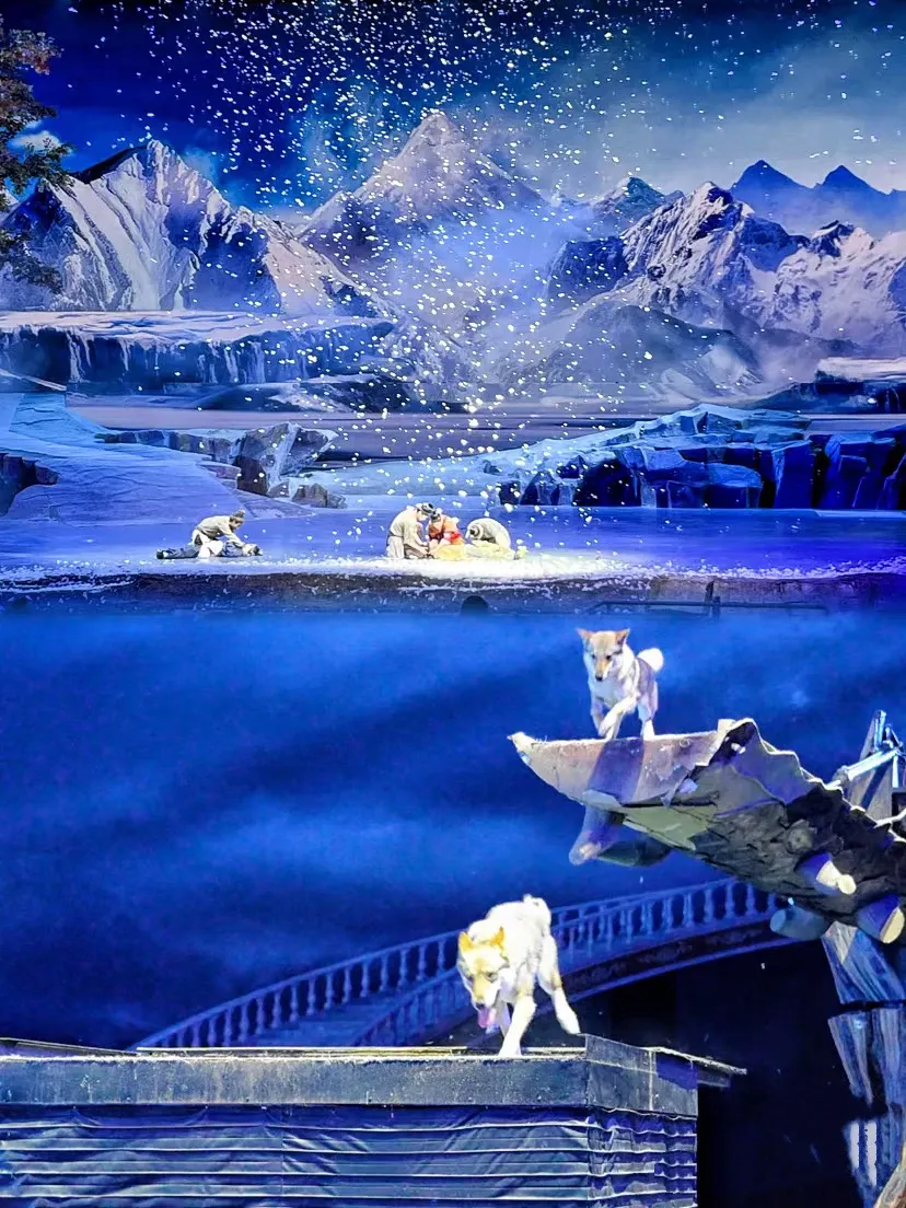 3d3f0317577032856d08e73154677bfe-sz_1533289 3d3f0317577032856d08e73154677bfe-sz_1533289