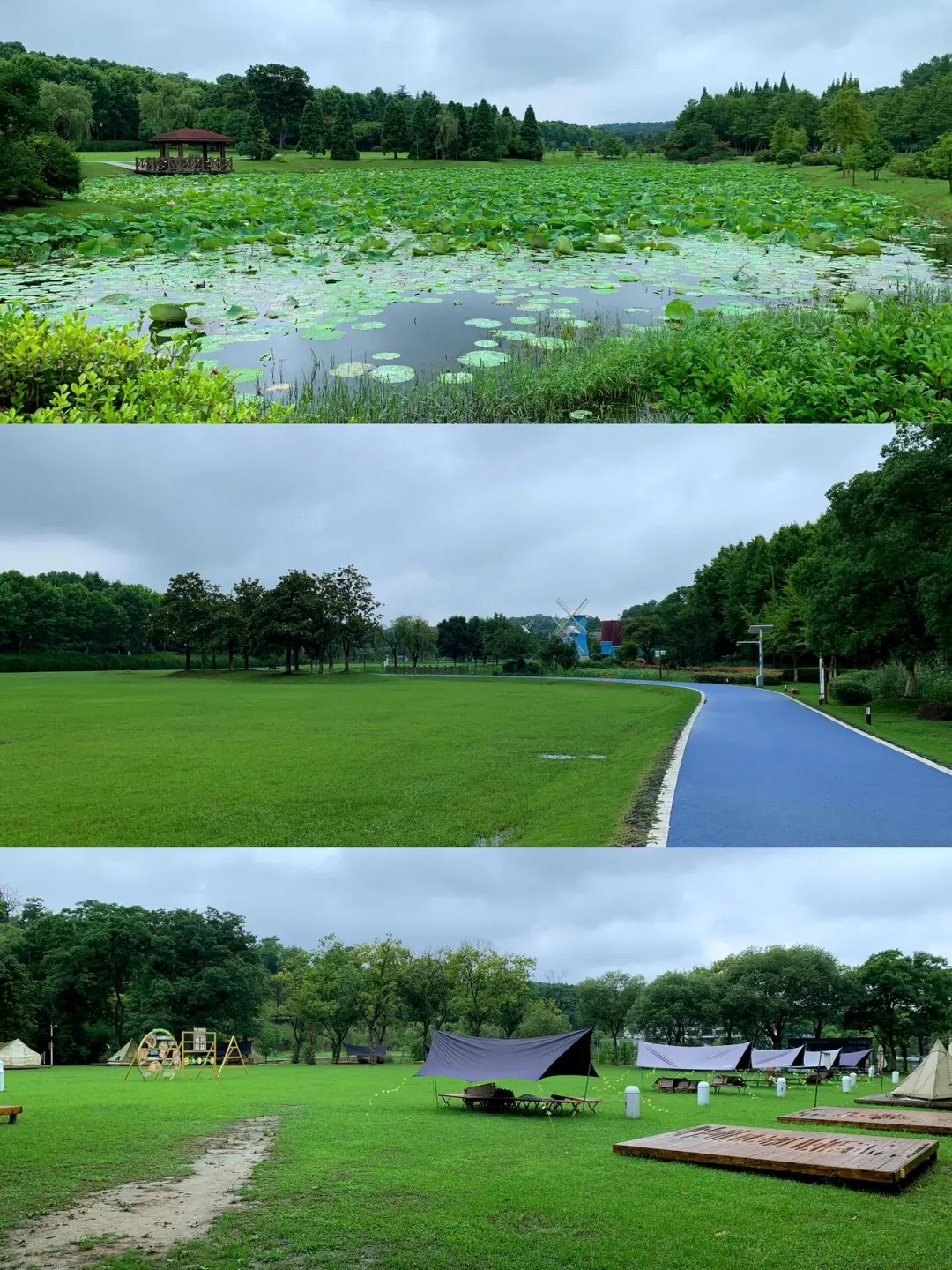 3d4578e9b78bf950644734cce4290489-sz_542283 3d4578e9b78bf950644734cce4290489-sz_542283