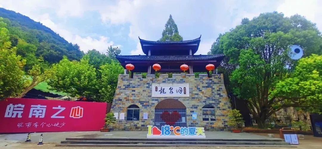 3d6375bcc80d3edc8ced501517d37ef8-sz_115479