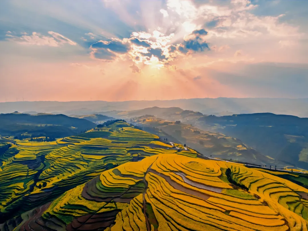 3d831287f05fb8318d415a0ea2a036fc-sz_2492077-1 3d831287f05fb8318d415a0ea2a036fc-sz_2492077-1