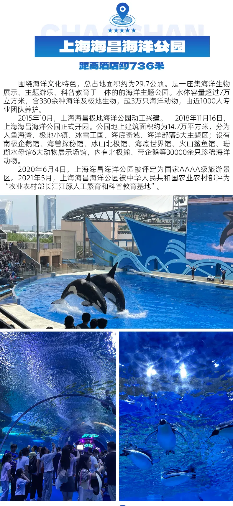 3d926a34902e31465b603563b54a0ac2-sz_1200328 3d926a34902e31465b603563b54a0ac2-sz_1200328