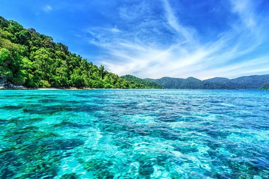 3da07e5afe289ebb40d9c195e8890d88-sz_203222