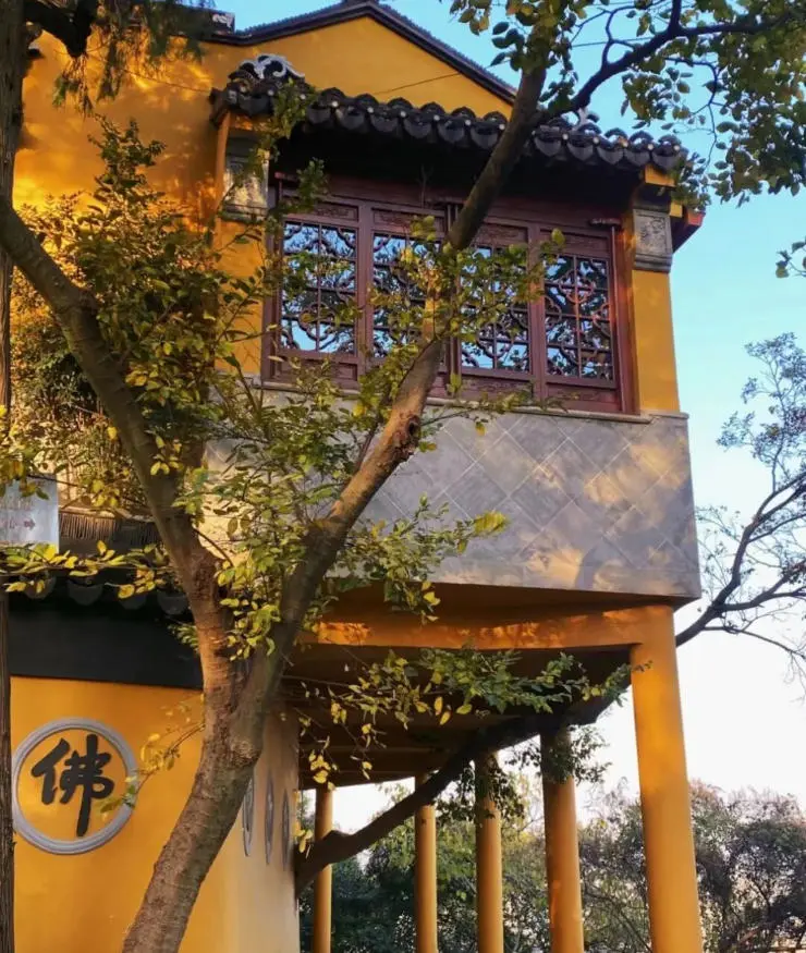 3dad951de5f9bc42d52be20da43d3544-sz_160097