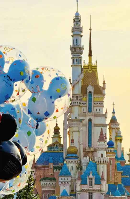 3dde3004e8590f7d6d8bca457e8037b5-sz_850758