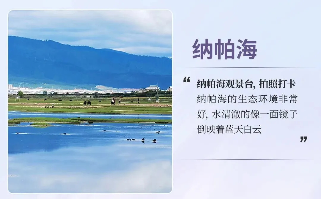 3dfec43a26d9710a599d8b90850da9bf-sz_932836-1 3dfec43a26d9710a599d8b90850da9bf-sz_932836-1