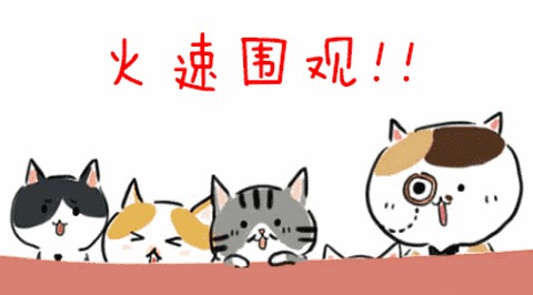 3e34c8fb777e2bb7b46cb18bdcc20bed-sz_126459 3e34c8fb777e2bb7b46cb18bdcc20bed-sz_126459