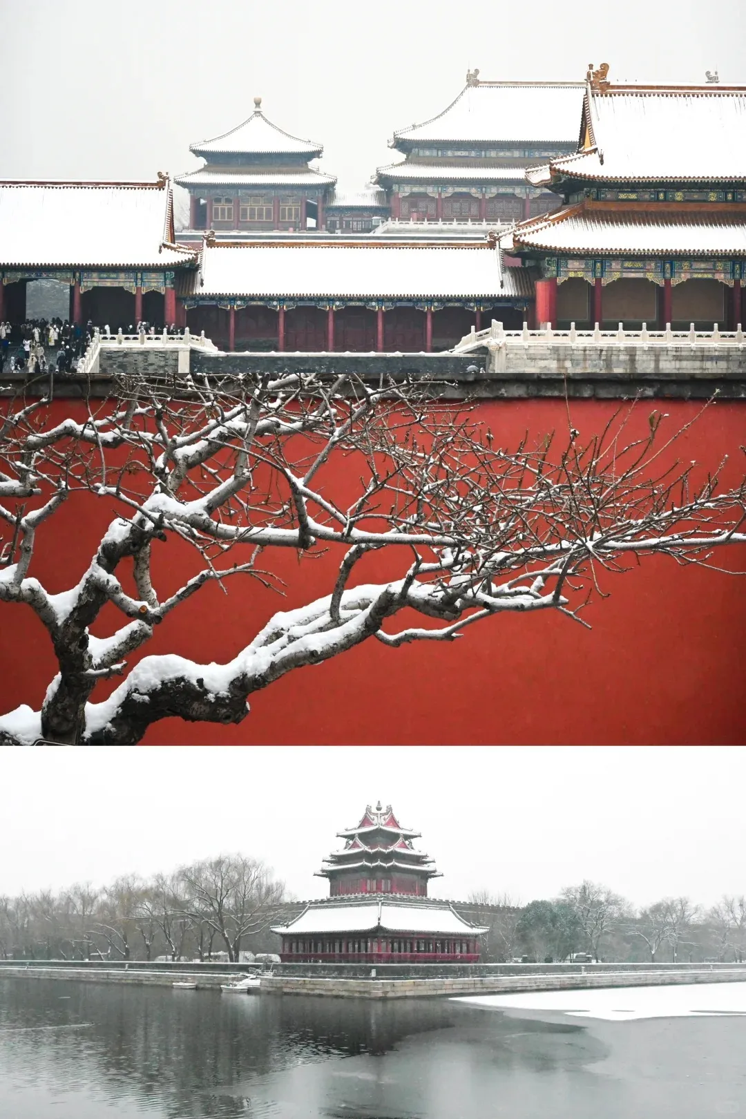 3e495736e40aa55da2504b9f5a76f9e5-sz_440066-1