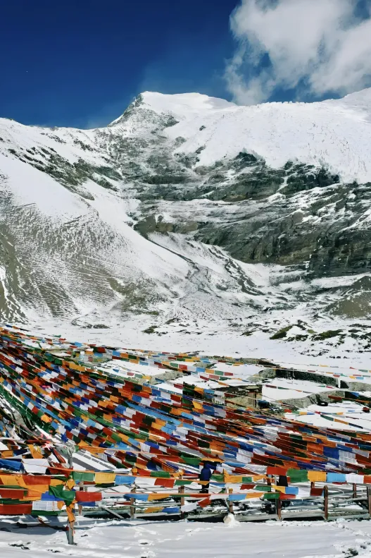 3e8f3992ed04d570ee321a8d1cd16efe-sz_883958