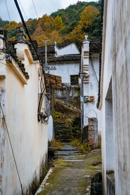 3ee735047bf6f071a3f3ab347a144883-sz_264338