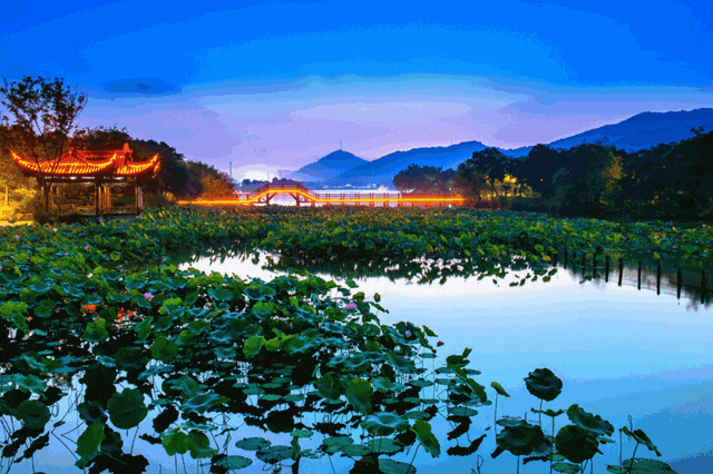 3ef5b48fe4e5fc293362582cb39b3b1d-sz_178774-1 3ef5b48fe4e5fc293362582cb39b3b1d-sz_178774-1