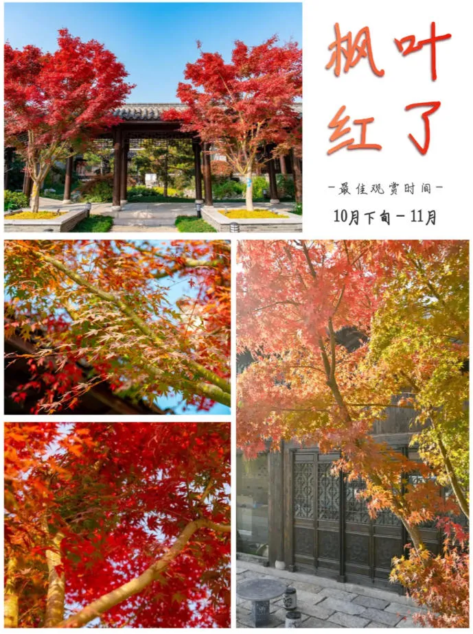 3f042cd7392289c2a5e9d28a4b48afa1-sz_479998 3f042cd7392289c2a5e9d28a4b48afa1-sz_479998