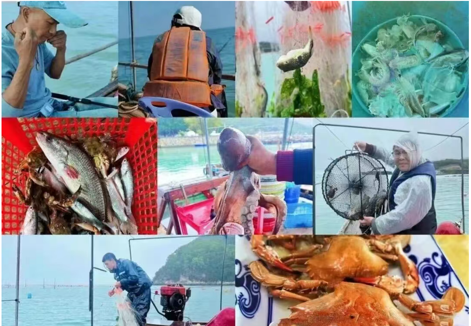 3f0b46e3d608cf6137dc8bed80c90fae 3f0b46e3d608cf6137dc8bed80c90fae