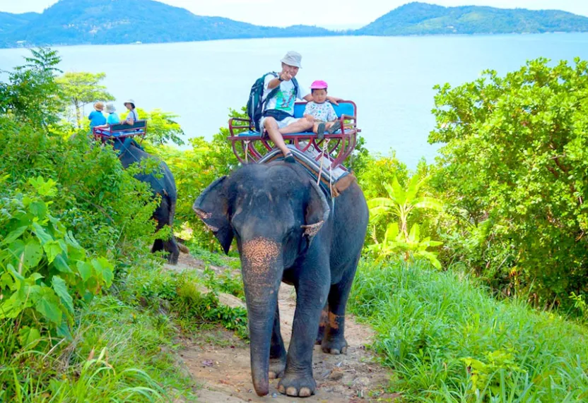 3f47d0e79f5dd3cf70b32ea3a78f9505-sz_1408266 3f47d0e79f5dd3cf70b32ea3a78f9505-sz_1408266