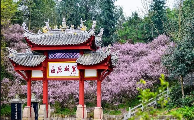 3f5f5afb6888ded6063ffb82d9ee29c8-sz_810709