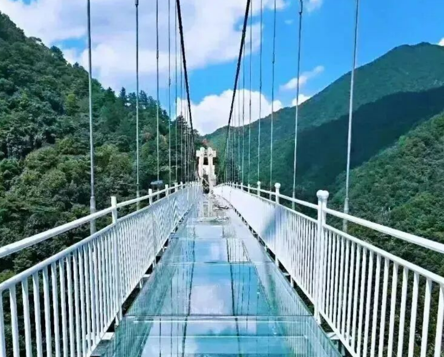 3f618e48dc6b23cec06ca3ed8c13a986