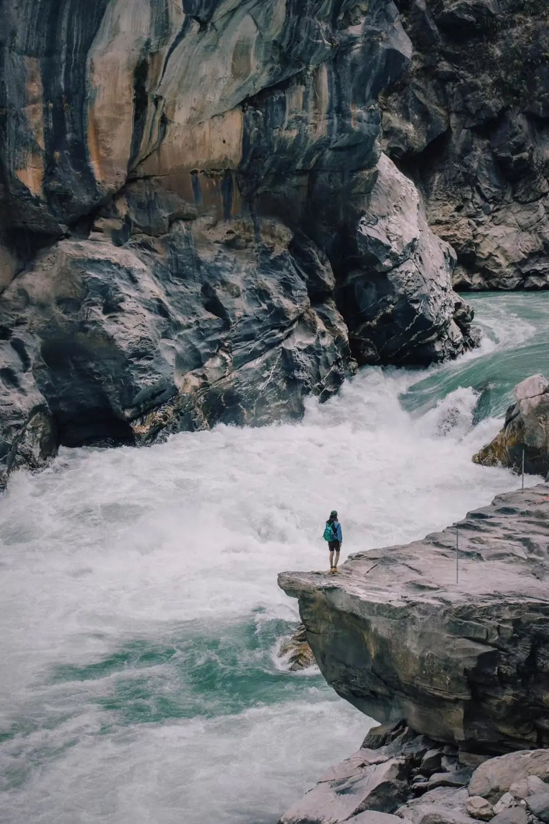 3f6a33d30da4dafab1ee4e46fe0cd9a8-sz_590956