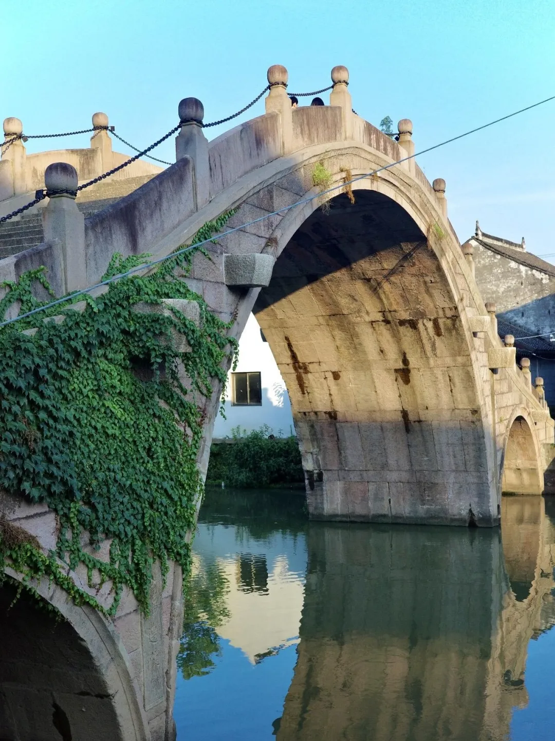 3f85a8702659317d7c0a56f82d6c8f7e-sz_938146