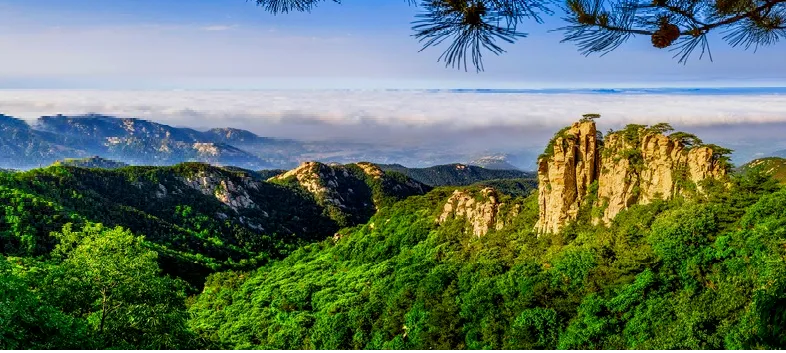 3fc40d056f7477a33af26c63fc7f0b4d-sz_571418