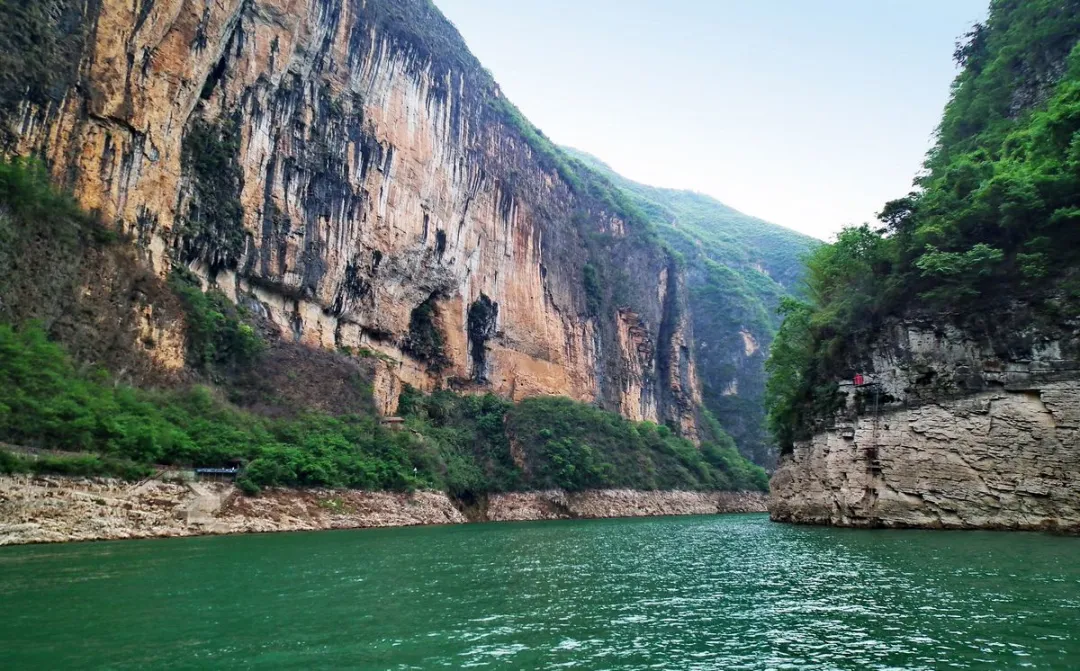 40d64086a995a421da566d7788f0ce61-sz_248481