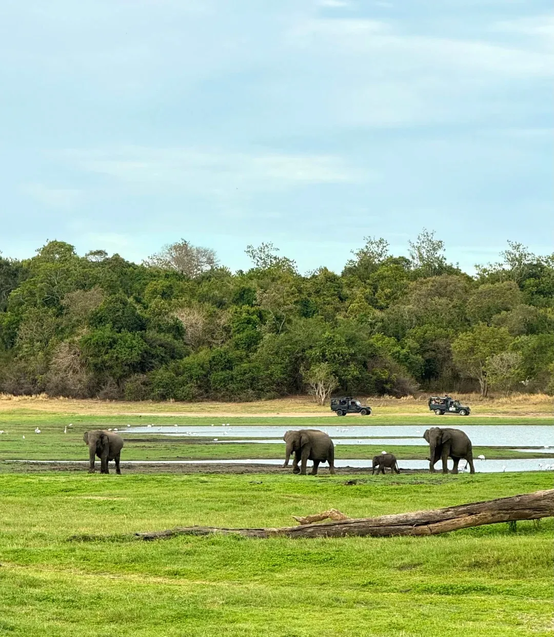 4113a33a5c2777e2bc8f905161291593-sz_430143