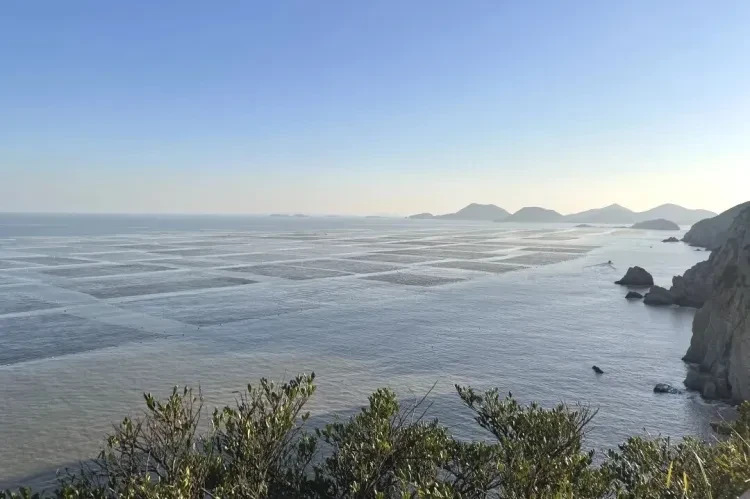 4137c5738167b31975d01a3b43c0c094-sz_117299