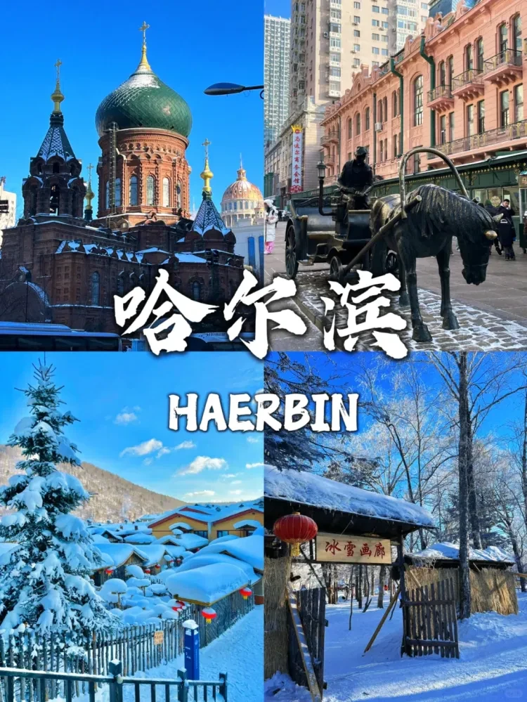 4179f0b7a608a7fa20d71c86b853697d-sz_2910292