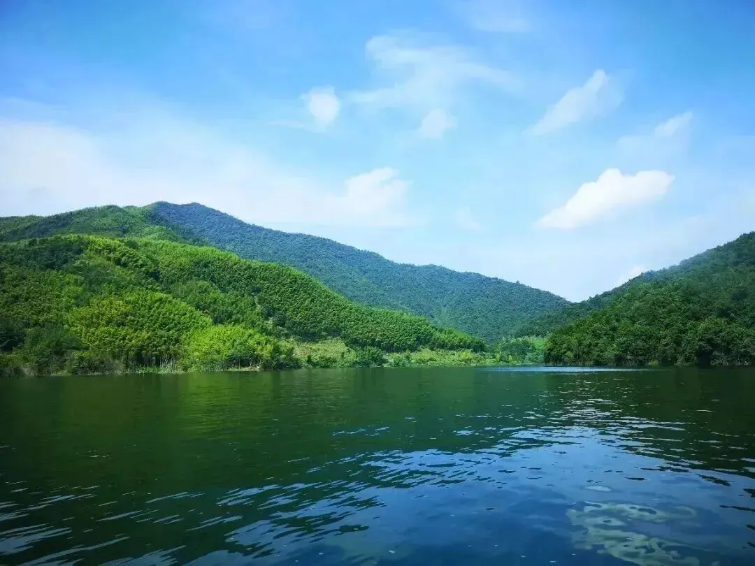 417e1f36420aed40b4df67cb31067c3f-sz_117828-3