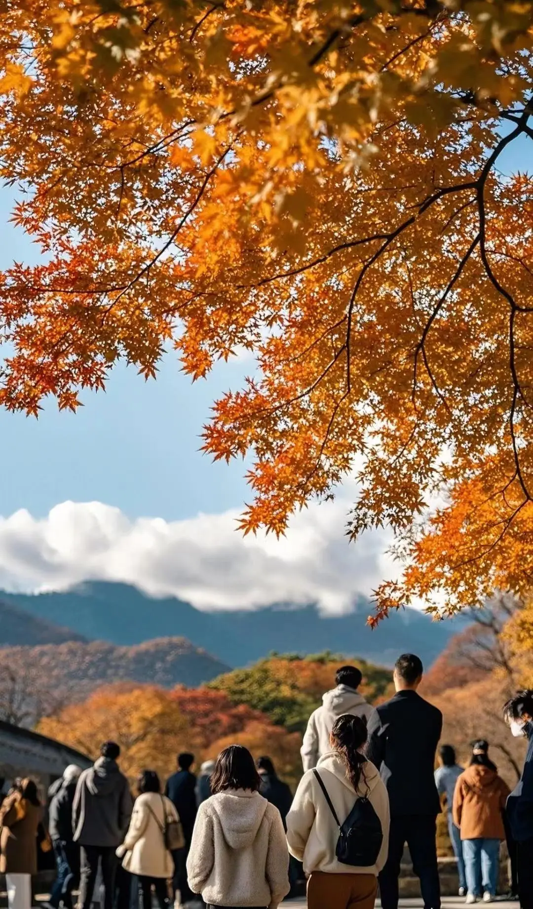 418636a0a7b3e045c080f76bbb33dd93-sz_374596