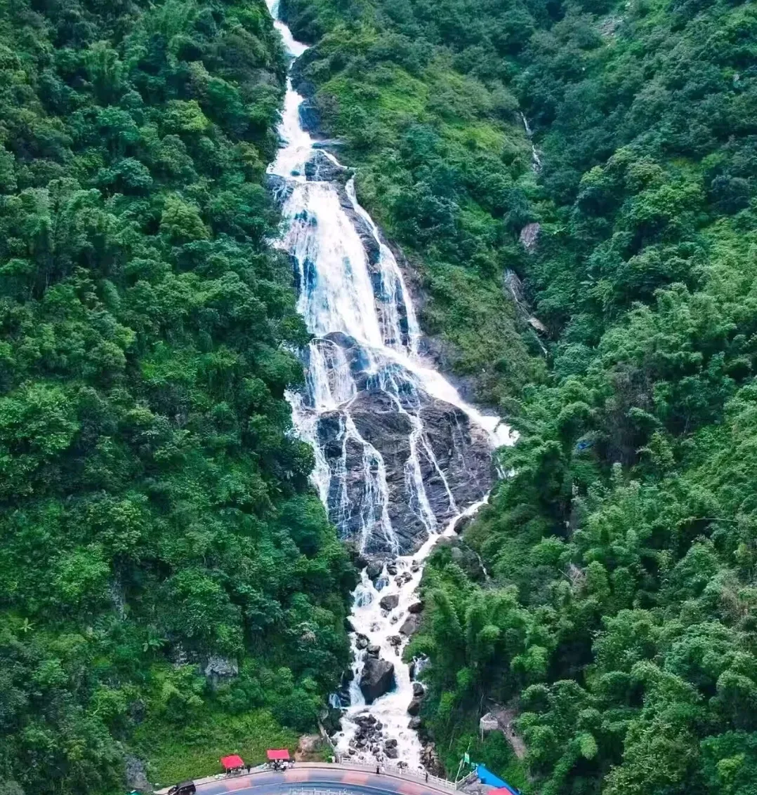 41cdbb2a4c3489144dcd96a2eed92a7d-sz_3091411-1