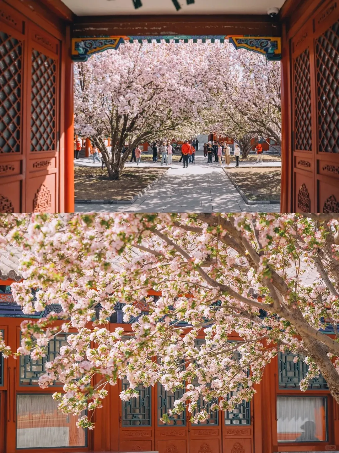 420191427649d094a11c75fc52a9527f-sz_609185