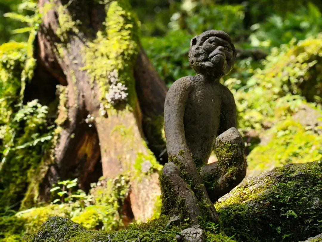 42029a7d9cb211f8f2d1a5752799f228-sz_2354100 42029a7d9cb211f8f2d1a5752799f228-sz_2354100