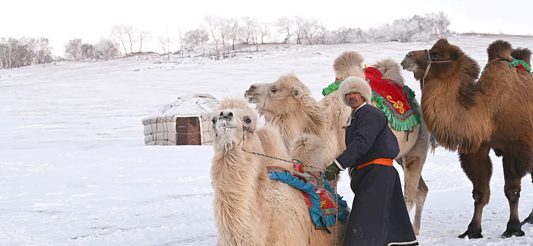 422bc7353eccfd6e26eeeb99901d5c2a-sz_6002982 422bc7353eccfd6e26eeeb99901d5c2a-sz_6002982