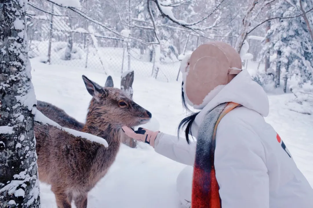 423526beca90636d2885677cb80bb5d3-sz_505226 423526beca90636d2885677cb80bb5d3-sz_505226