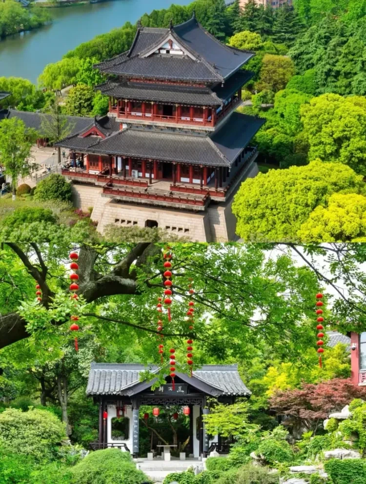 424bcf5260d49768ac3ba08908b360d5-sz_4204074