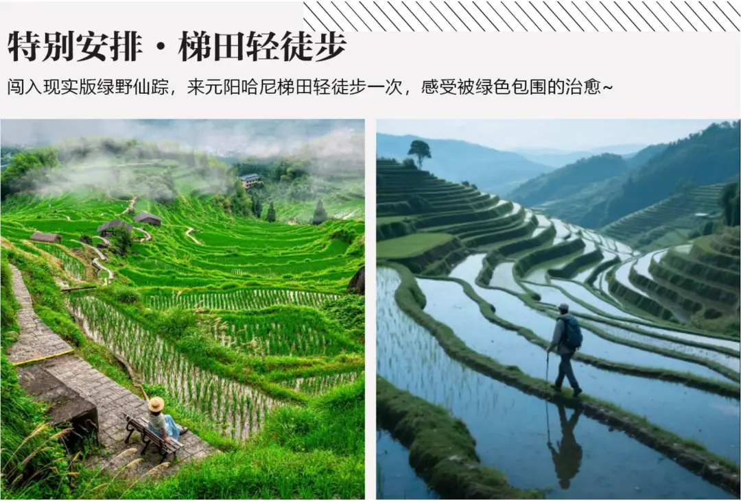 424f31789ea0d68474a1706e34f388dd-sz_257524 424f31789ea0d68474a1706e34f388dd-sz_257524