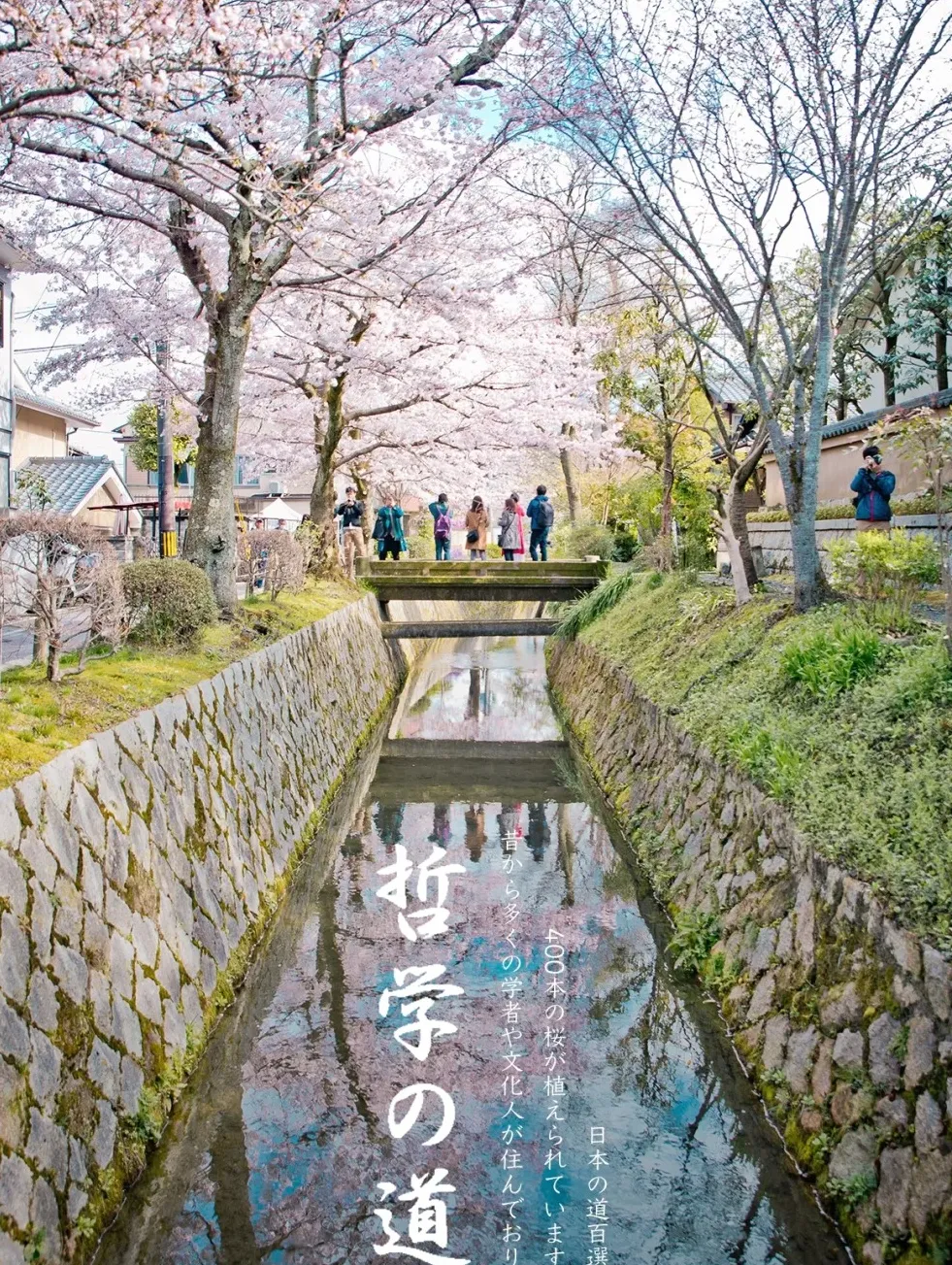 4268cc2ce29d058996f61fccdfe89921-sz_780906