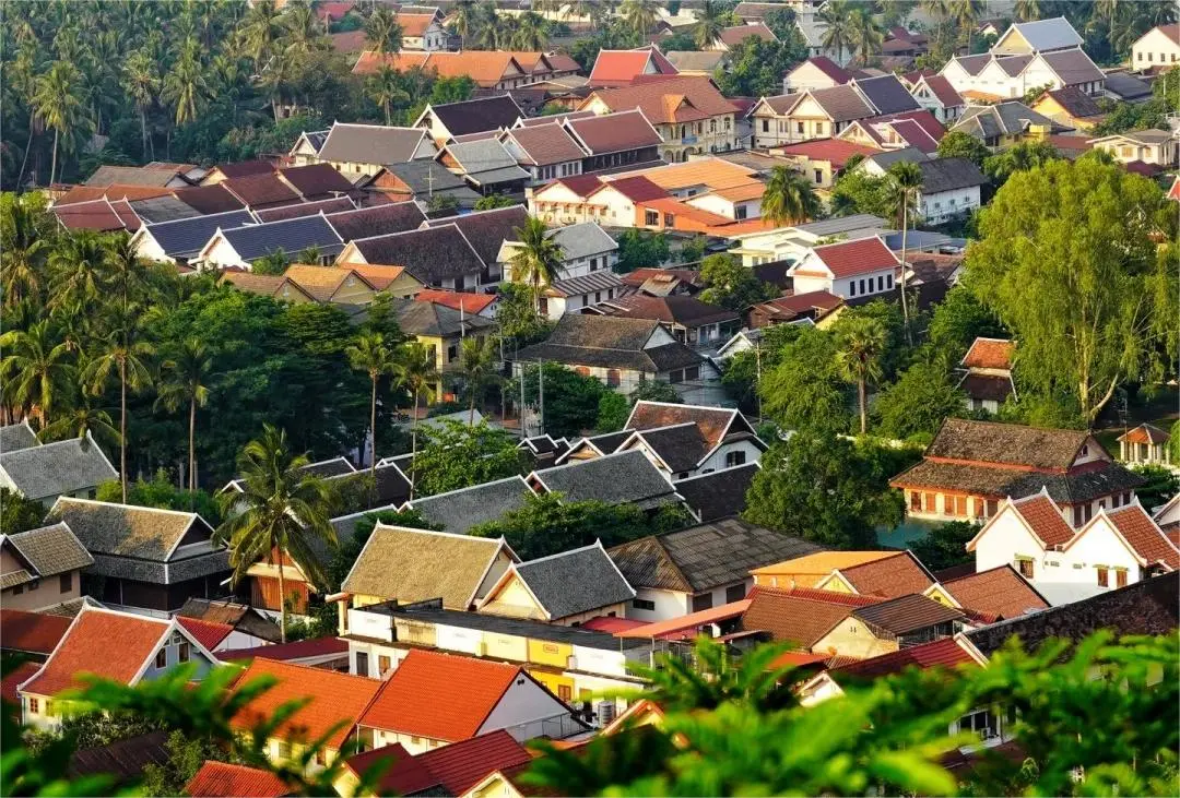 426c65ff12b8513d1fd6c4d698ea81cf-sz_216242