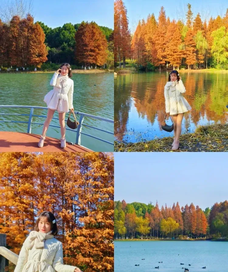 42c562d6bec3a2345b5043ce41a0045a-sz_1259528