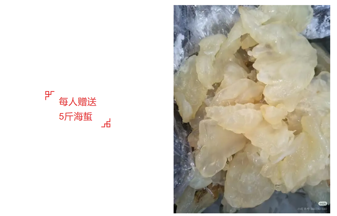 42d59a512f33f12d5519084c36ee64a5