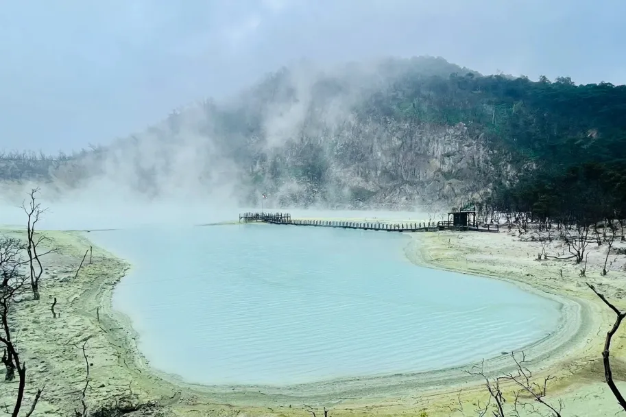 42e003d6633010140f16a305921c84ee-sz_491785