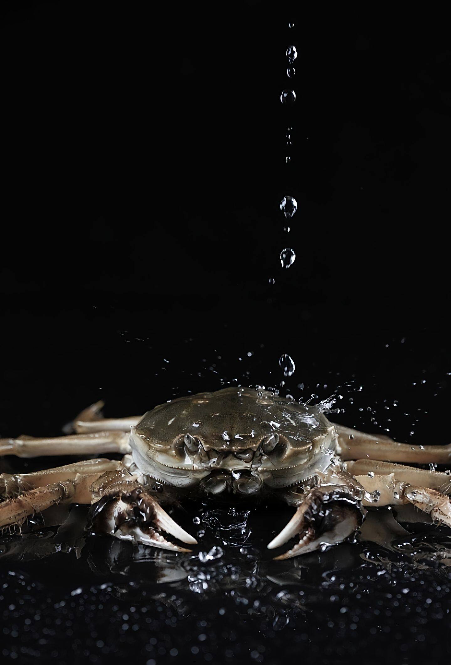 42f4c341517d0f58be8b529648c0bd42-sz_200150