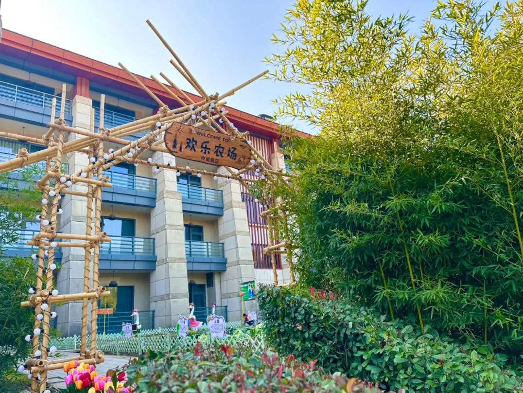 4310867a1d629a798a002cb00b2a21c5-sz_244309-1