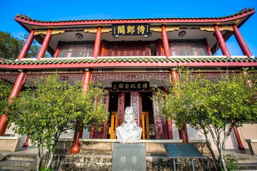 432266fc1f438992169cfff8726546c7-sz_7217470