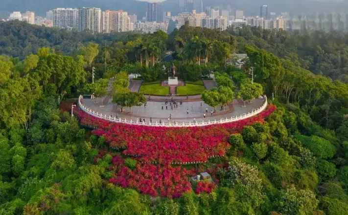 432653e15557ffb433ca400e099877db-sz_661051