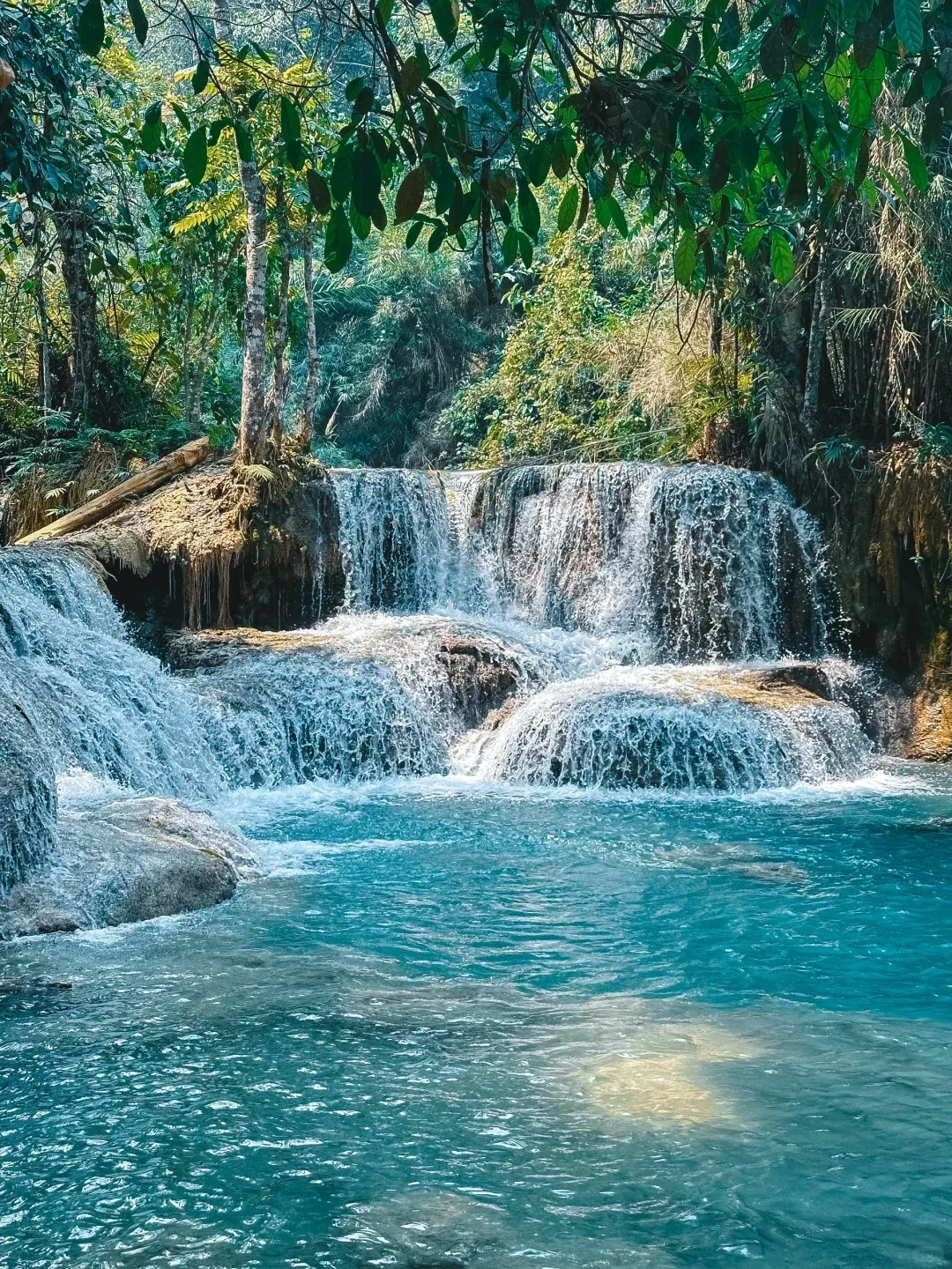 433739f1fe2044fef7bd5c64b8304abe-sz_4384251