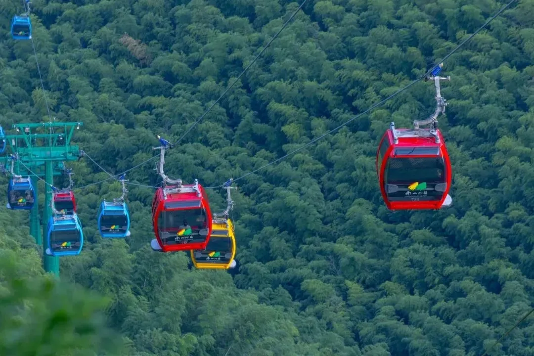 433f8c61491a210f618a19e69c6f336d-sz_210705